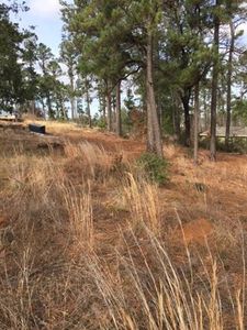 136 Pinehollow Dr, Bastrop, TX, 78602