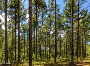 0 Chainey Briar Rd, Metter, GA 30439