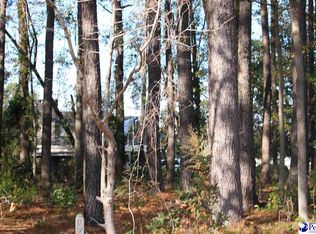 223 Armour Dr, Lake City, SC 29560