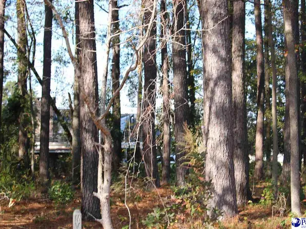 215 Armour Dr, Lake City, SC 29560