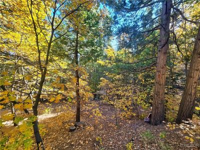 0 Brentwood Dr, Lake Arrowhead, CA, 92352