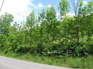 0 Guinea Rd, Middleburgh, NY 12122