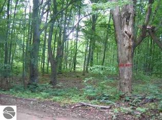 28 Road, Harrietta, MI 49638