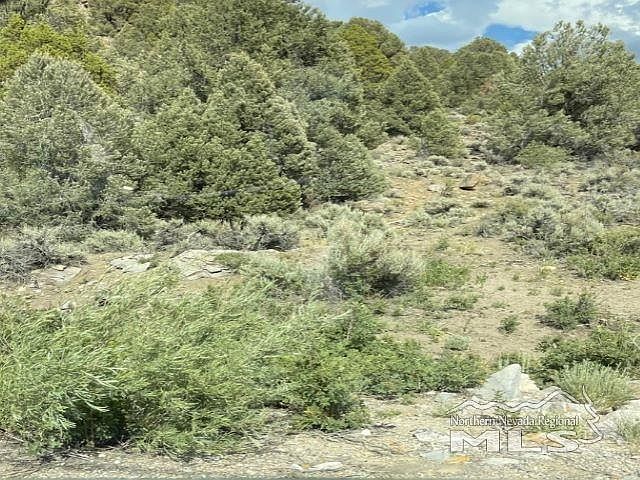 2nd image of 2041 Lousetown Rd