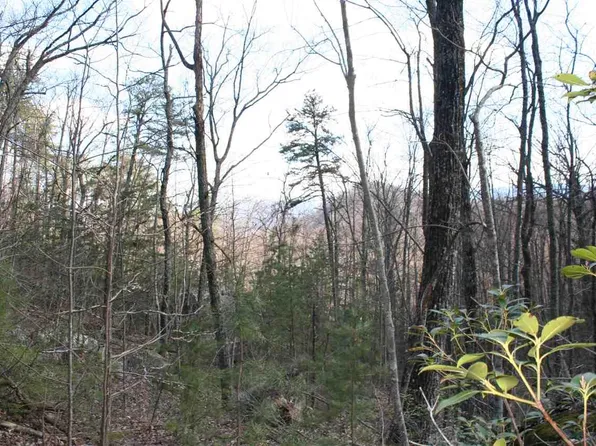 Houge Way, Cosby, TN 37722