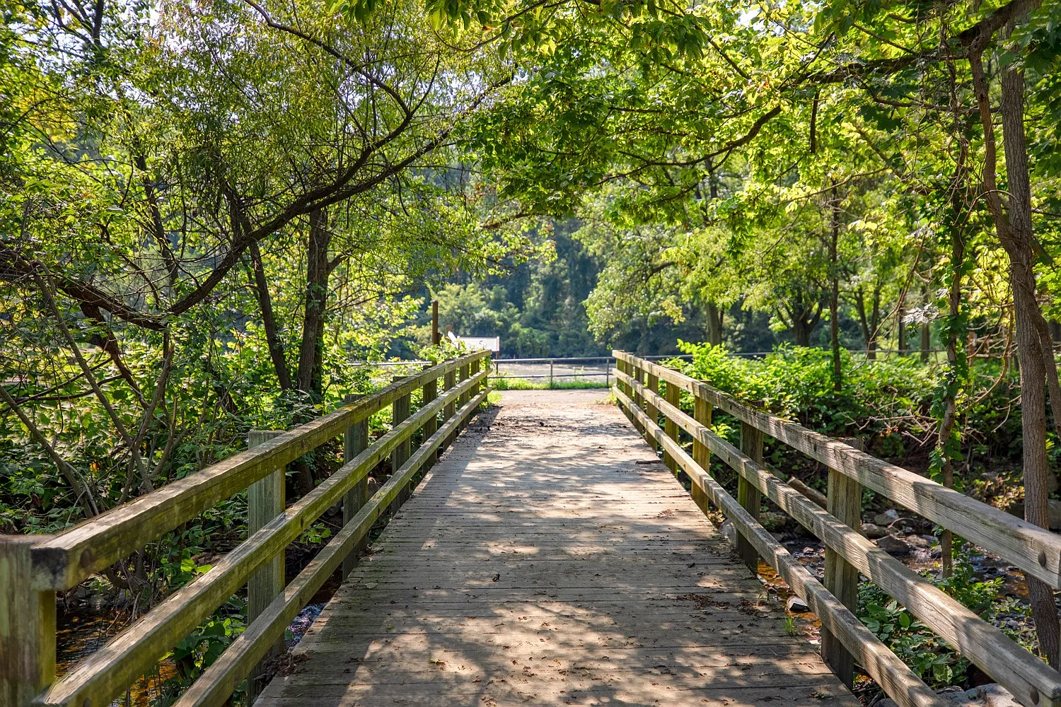 Dorsey Mill — Photo 1