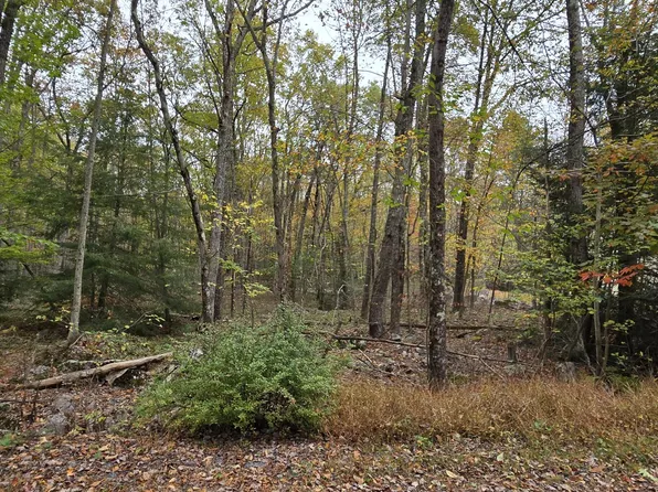 A465 Redwood Dr, Jim Thorpe, PA 18229