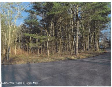 0 Maple Tree Aka W. Main Street, Stamford, NY, 12167