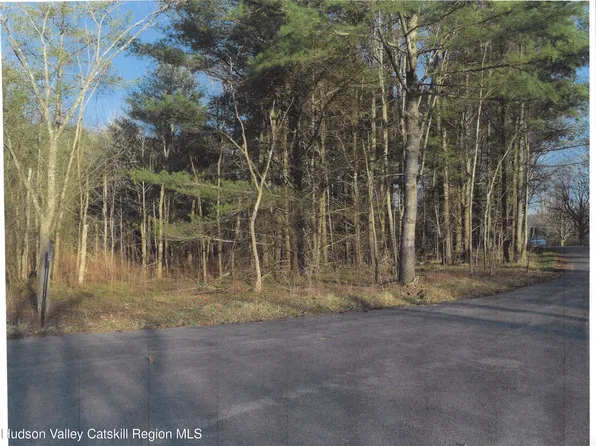 0 Maple Tree Aka W. Main Street, Stamford, NY 12167