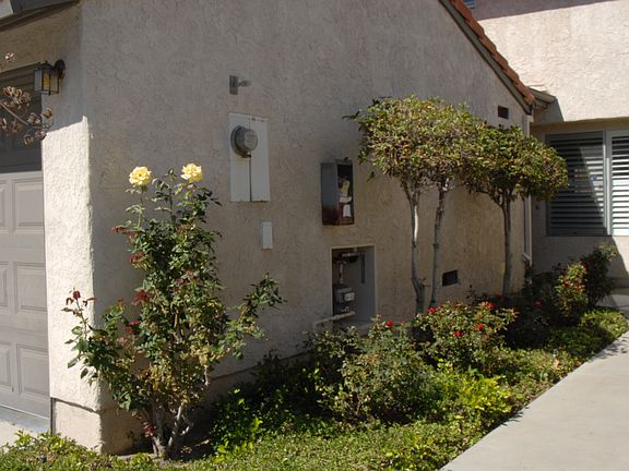 manicured front walkway