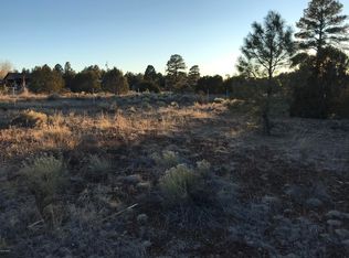 2756 Sunflower Dr, Overgaard, AZ 85933