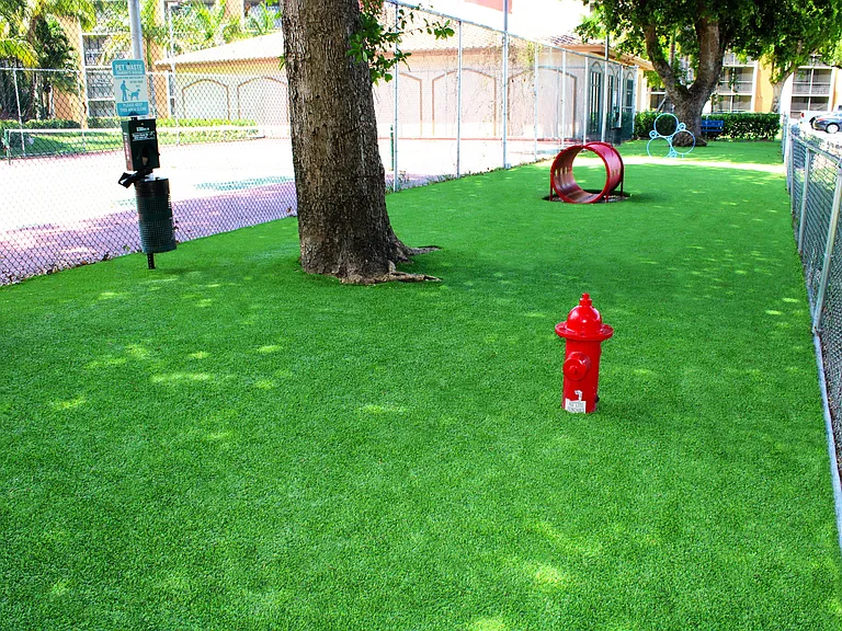 Bark Park