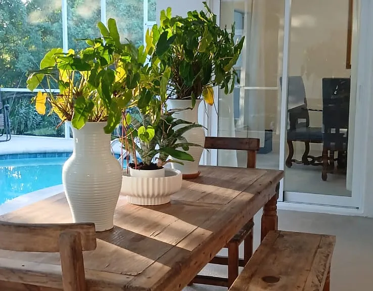 Patio area Table