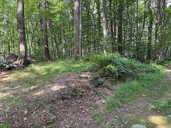4th image of 0 Briggs Rd