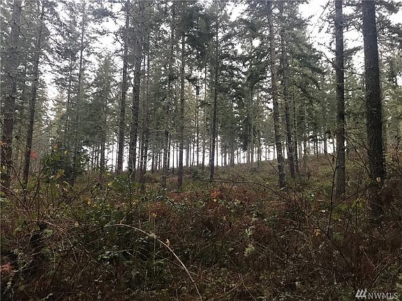 2nd image of 38922 Madrona Dr E