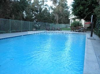 1st image of 401 S Barrington Ave APT 216