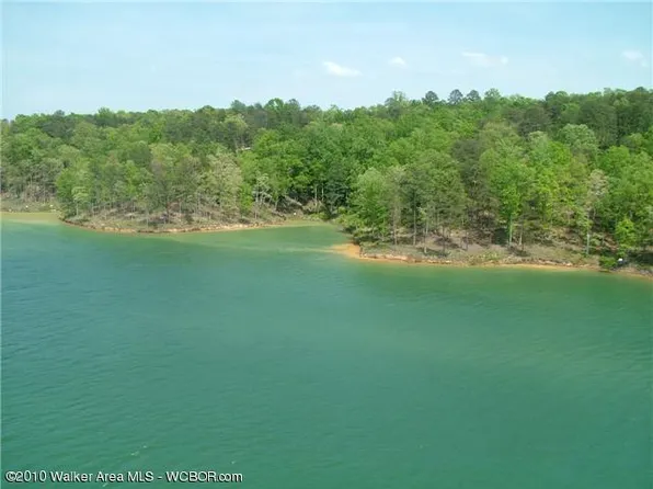 50 Osprey Ave, Arley, AL 35541