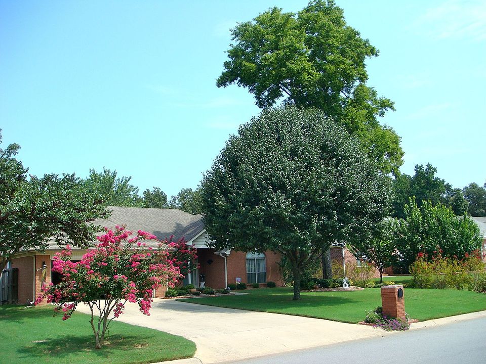 Front Yard - Summer
