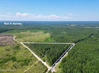 Jim Stanford Rd, Poplarville, MS 39470