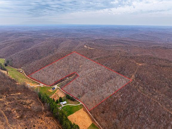 5th image of 31382 Stevens Branch Rd