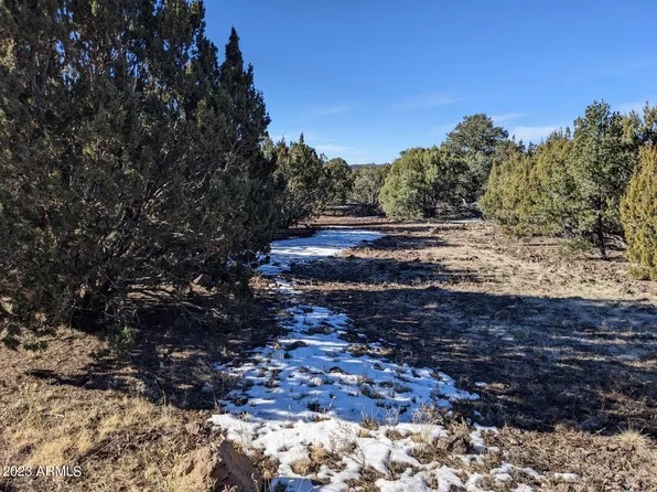 CR 3026 N Lot 44 Trail #44, Vernon, AZ 85940