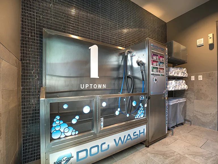 Pet washing station