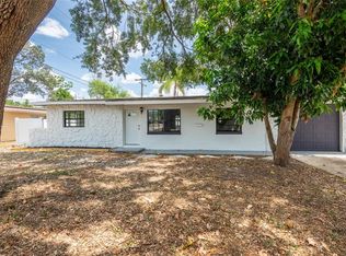 202 Cranberry Ln, Brandon, FL 33510