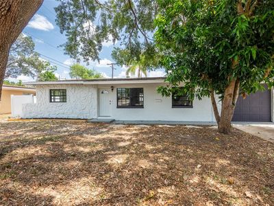 202 Cranberry Ln, Brandon, FL, 33510