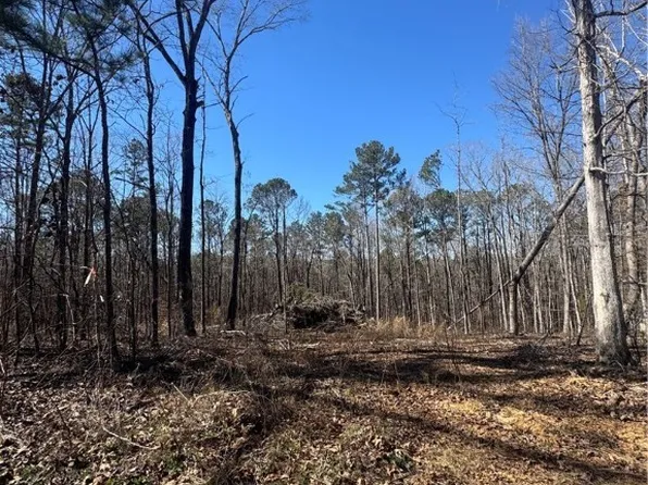 0 Rosser Ln, Mc Calla, AL 35111