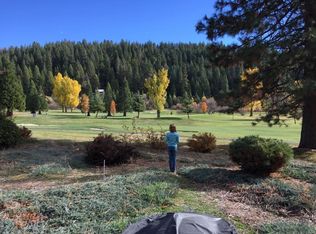 921 Moran Rd, Arnold, CA 95223