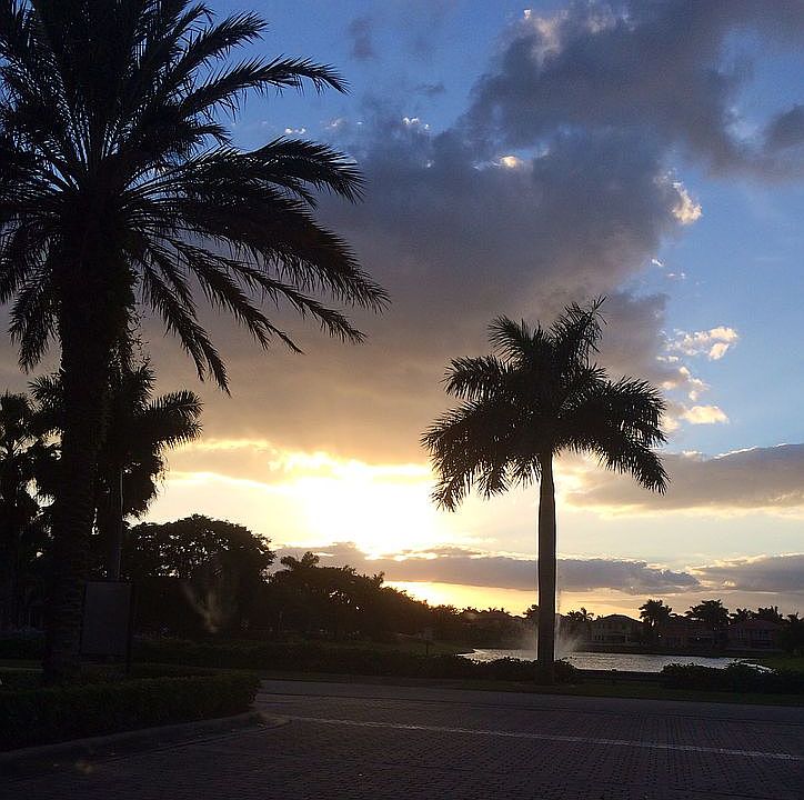 Sunset