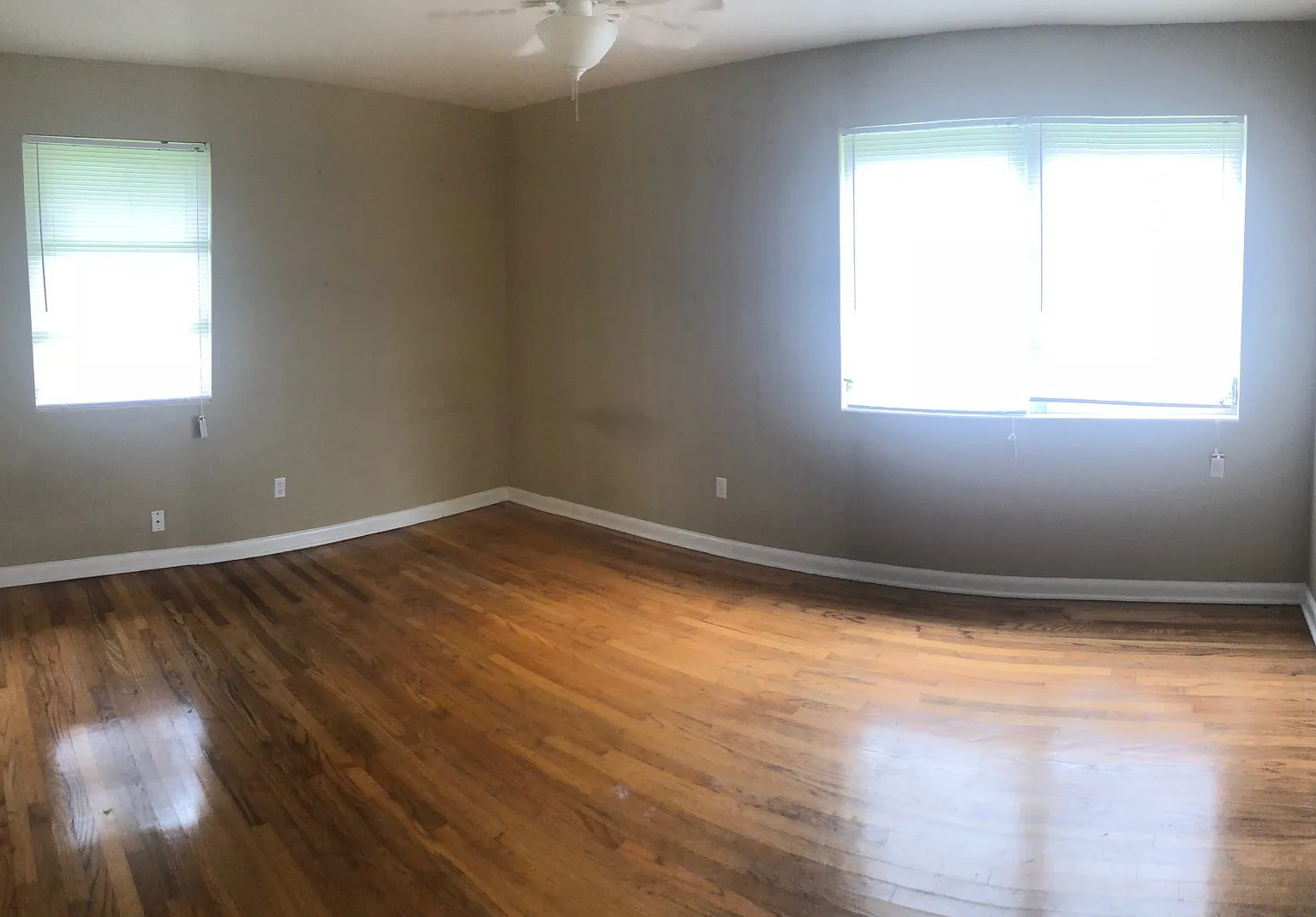 5 Bedroom House, Just Minutes from FSU! — Photo 4