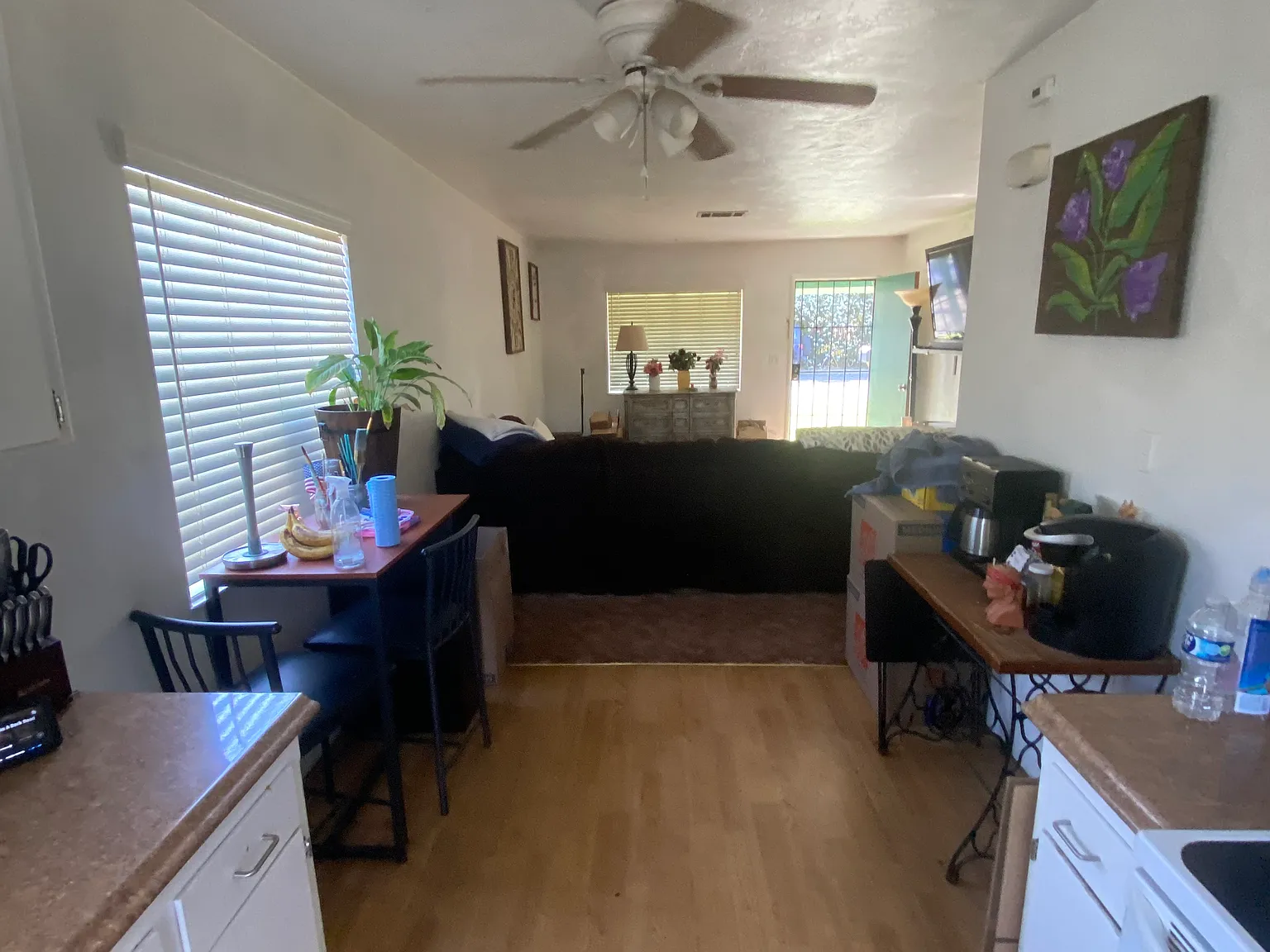 2 bed, 850 sqft, $1,250 — Photo 4