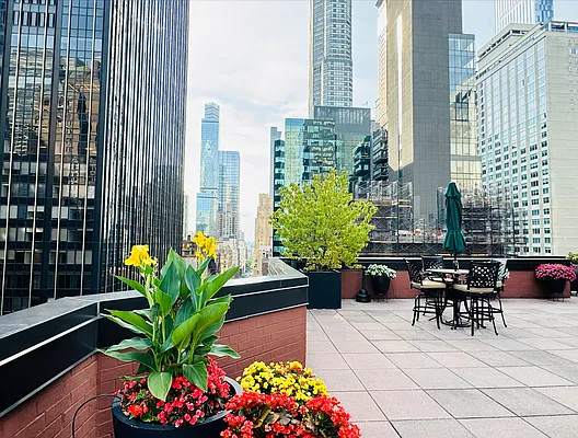 Rented by Compass | media 19