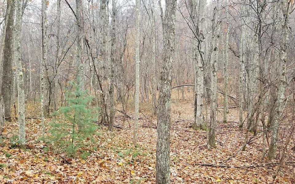 2nd image of 0 Peters Mountain Rd #E