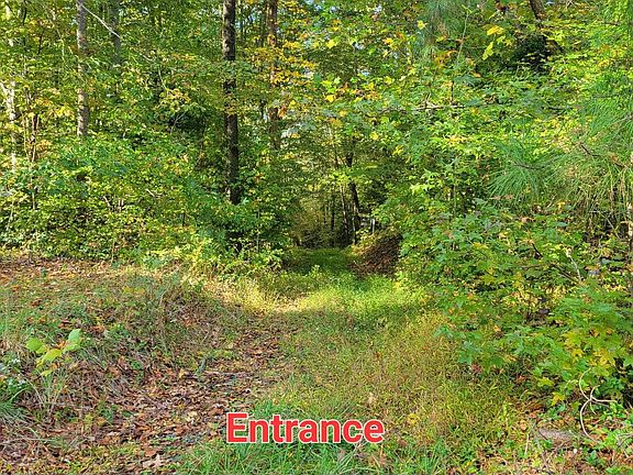 2nd image of 36641 Knotts Ln