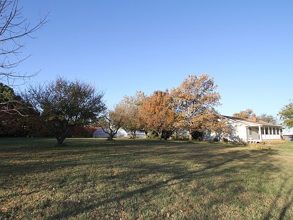 Fruit Trees, Back Yard