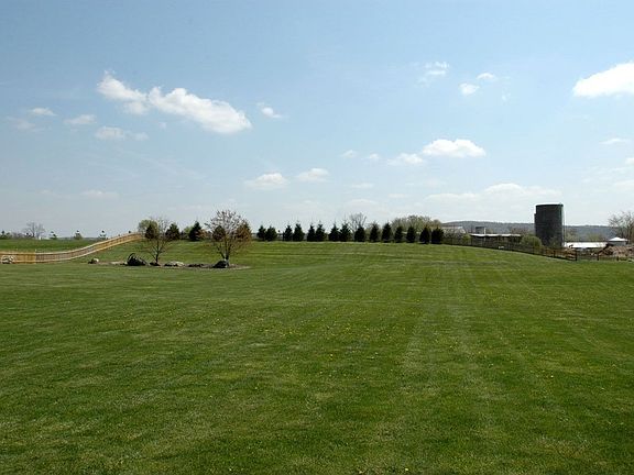 Fenced Back Yard