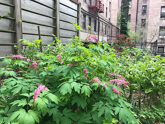 Sold by Corcoran | media 22