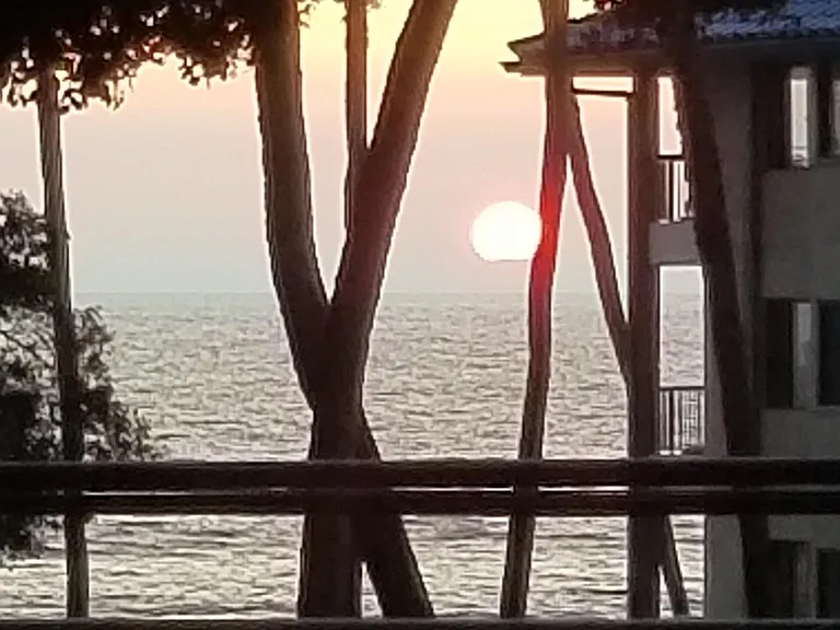 Alii Dr — Photo 14