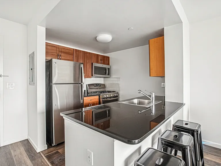 229 Chrystie St #1402-1 — Photo 3