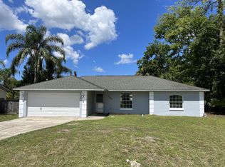 3323 Umbrella Tree Dr, Edgewater, FL 32141
