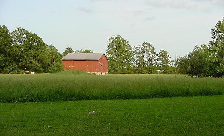 Backyard view