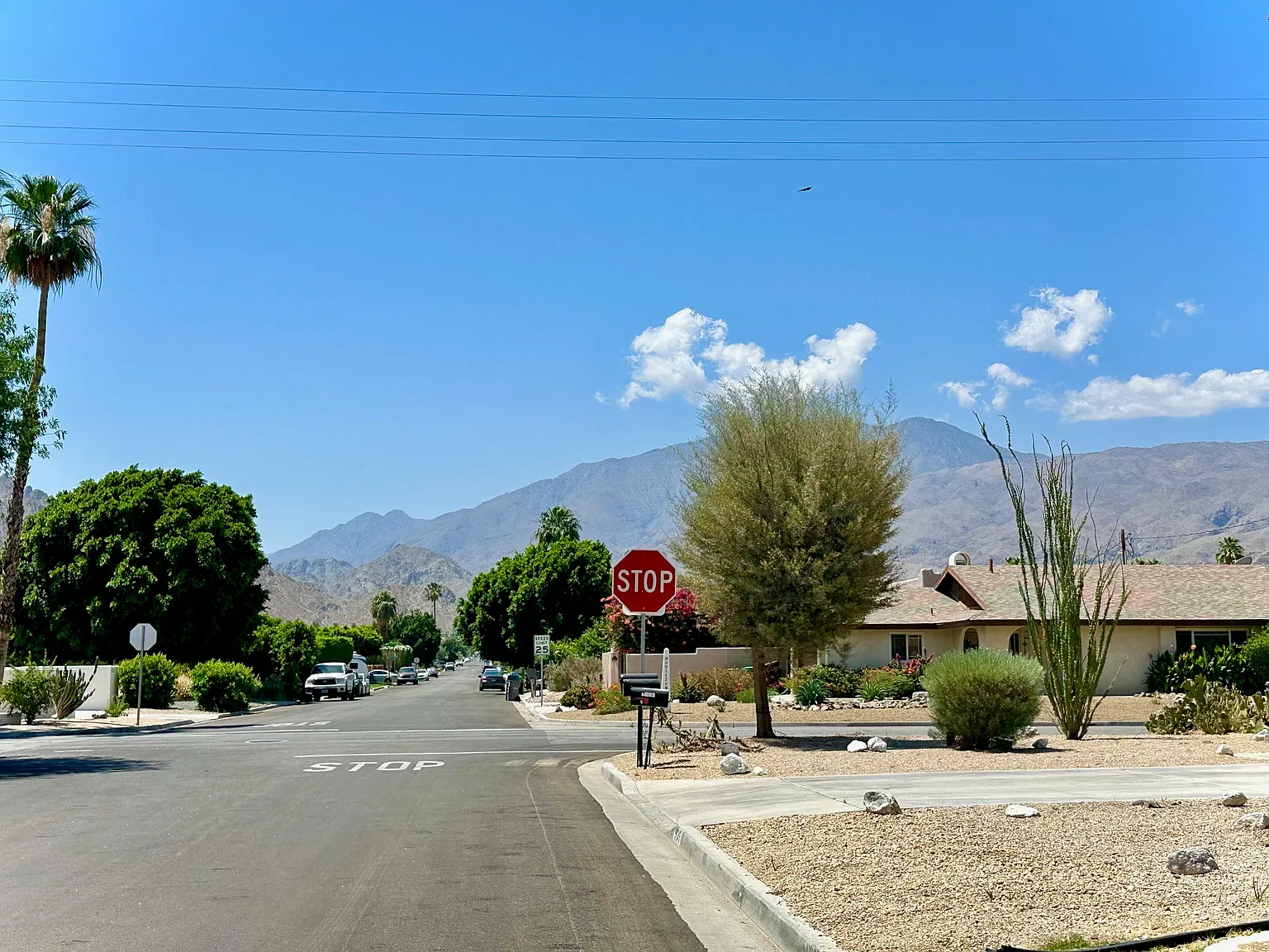 3 bed, 1796 sqft, $3,600 — Photo 4