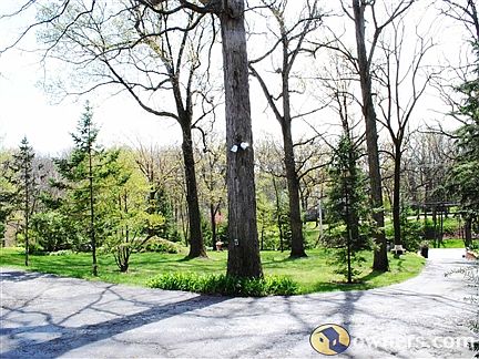 Semi circular driveway with two entrances and large front yard