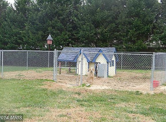 Fenced-in Area. No Kennel.