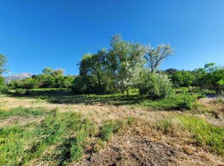 Dorris Ave, Paonia, CO 81428