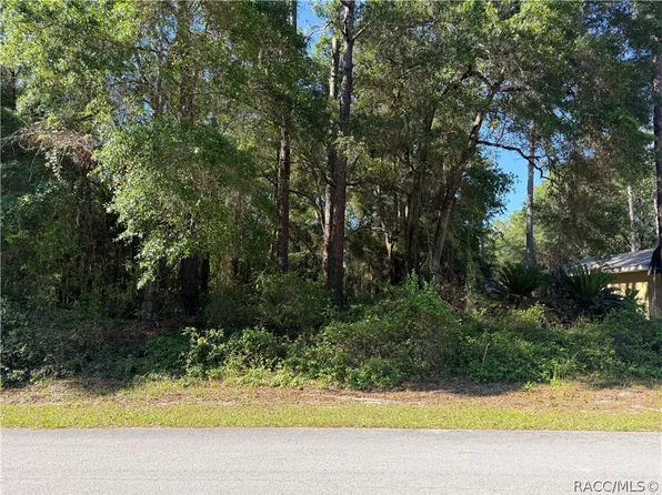 10927 N Airway Loop, Citrus Springs, FL 34434