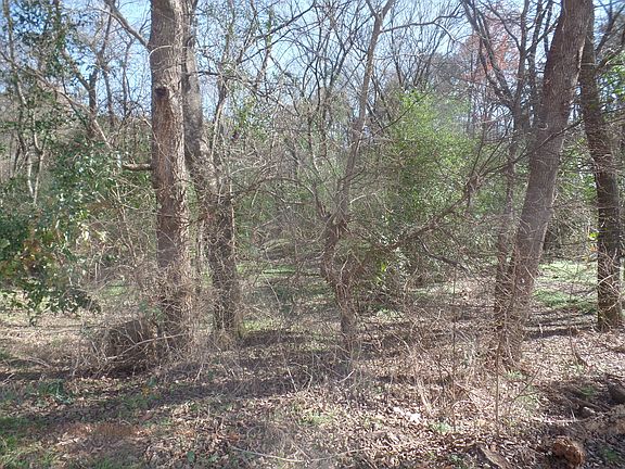 5th image of 1057 County Road 1506