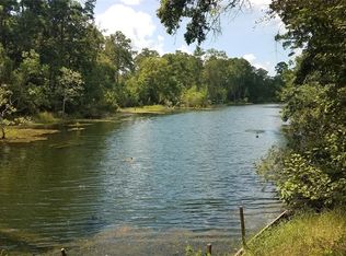 Hidden Cv, Livingston, TX 77351